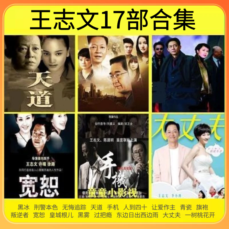 王志文电视剧合集黑冰天道无悔追踪青瓷大丈夫刑警本色素材秒发-影视之家